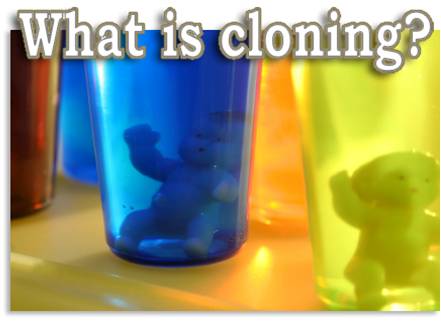 Debate topics on cloning